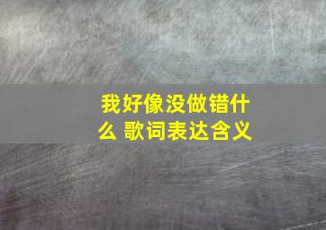 我好像没做错什么 歌词表达含义